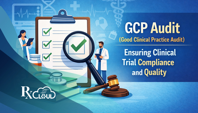 GCP Audit